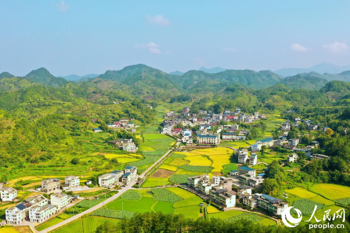 鳳凰山村。人民網(wǎng) 李唯一攝