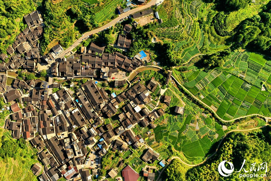 俯瞰龍?zhí)洞?。人民網(wǎng) 李唯一攝