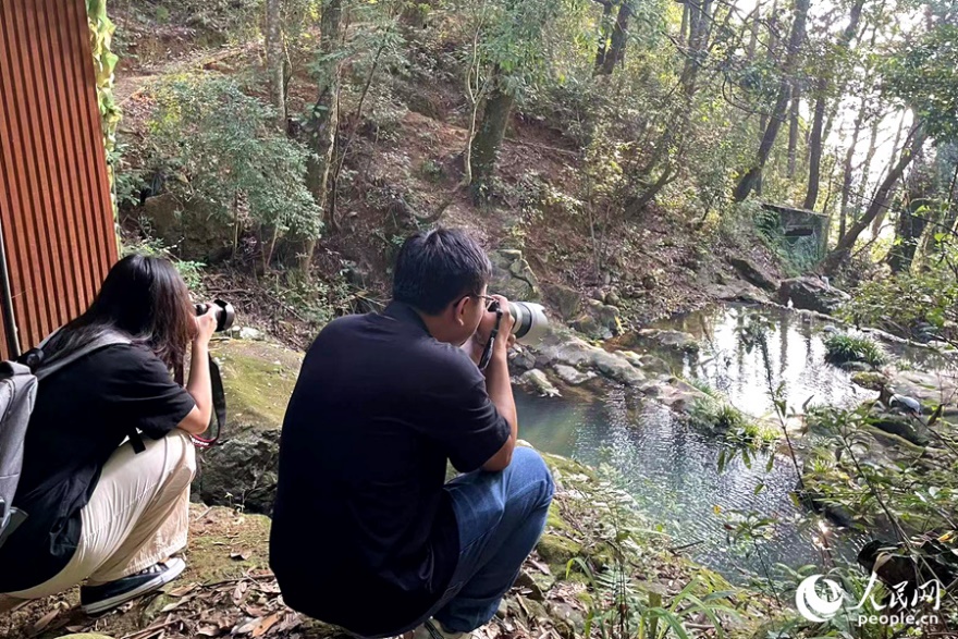 觀鳥愛好者與保護動物保持距離，屏息拍攝。人民網(wǎng)記者 林盈攝