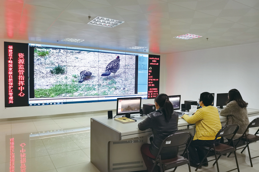 明溪縣通過24小時候鳥監(jiān)測與保護系統(tǒng)收集鳥類數(shù)據(jù)。福建君子峰國家級自然保護區(qū)供圖