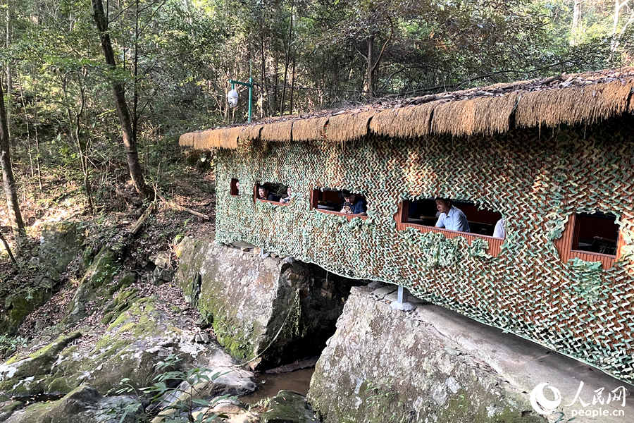 旦上村的一處觀鳥點。人民網(wǎng)記者 林盈攝