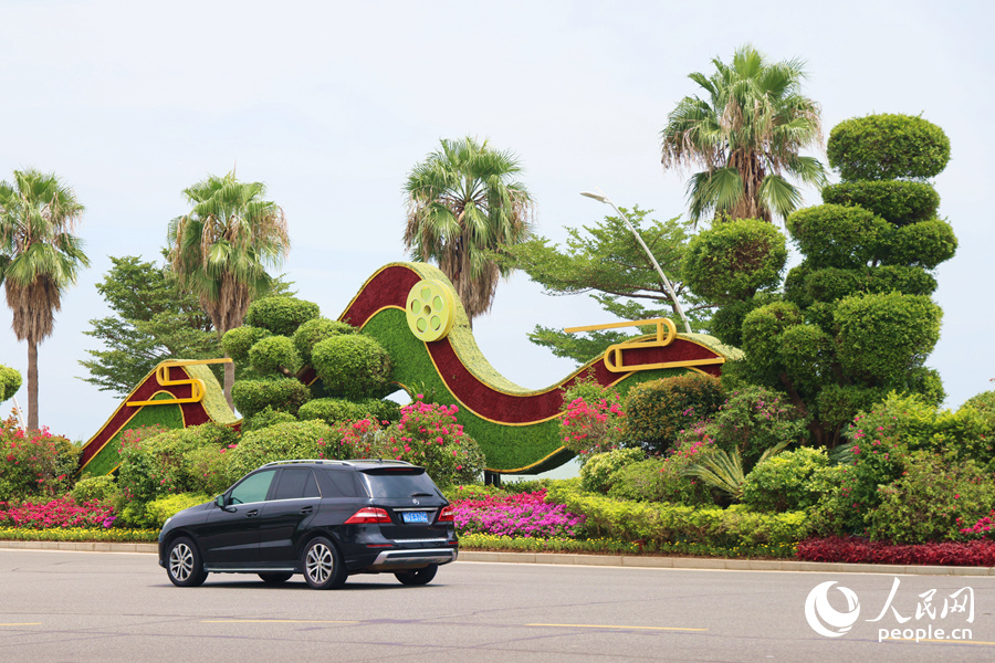 廈門環(huán)島東路一側(cè)的花藝造景。人民網(wǎng)記者 陳博攝