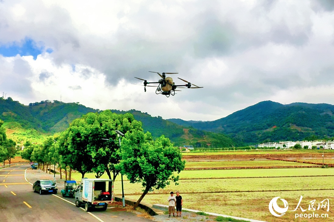 7月末，無人機在店下鎮(zhèn)萬畝農(nóng)田施肥。人民網(wǎng) 李唯一攝