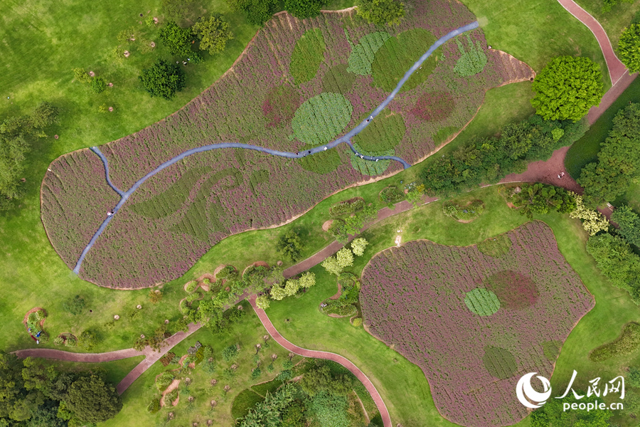 多彩花卉勾勒出一位少女放飛彩色氣球的造型。人民網(wǎng)記者 陳博攝