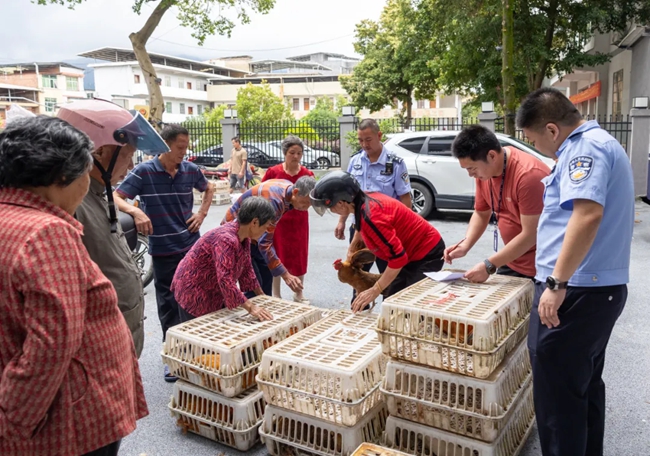 村民在派出所領(lǐng)回被盜雞鴨。龍巖公安供圖