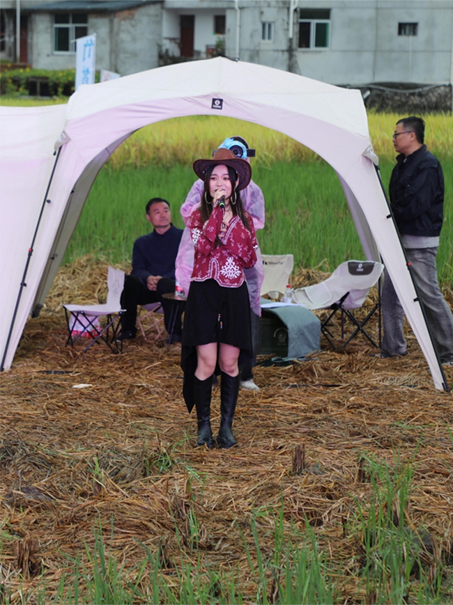 鄉(xiāng)村稻田詩歌音樂會(huì)上，歌手在稻田里表演。林璐攝