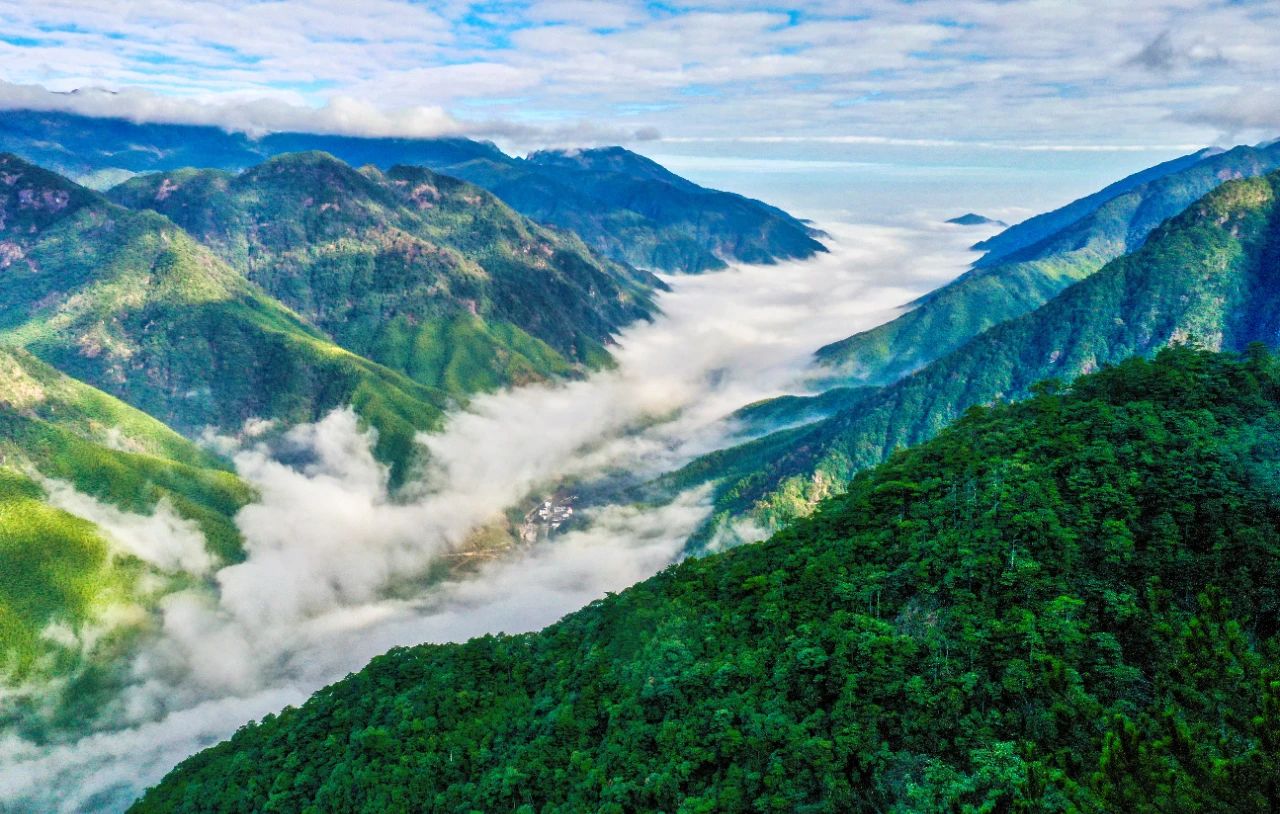 武夷大峽谷。黃海 攝