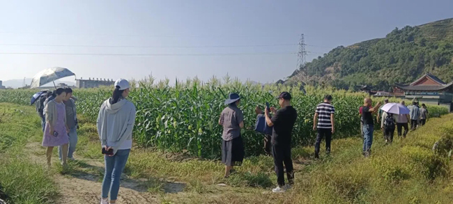 現(xiàn)場觀摩學(xué)習(xí)