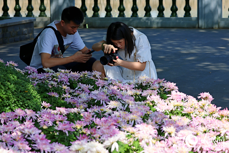 攝影愛好者在花境旁拍照。人民網(wǎng)記者 陳博攝