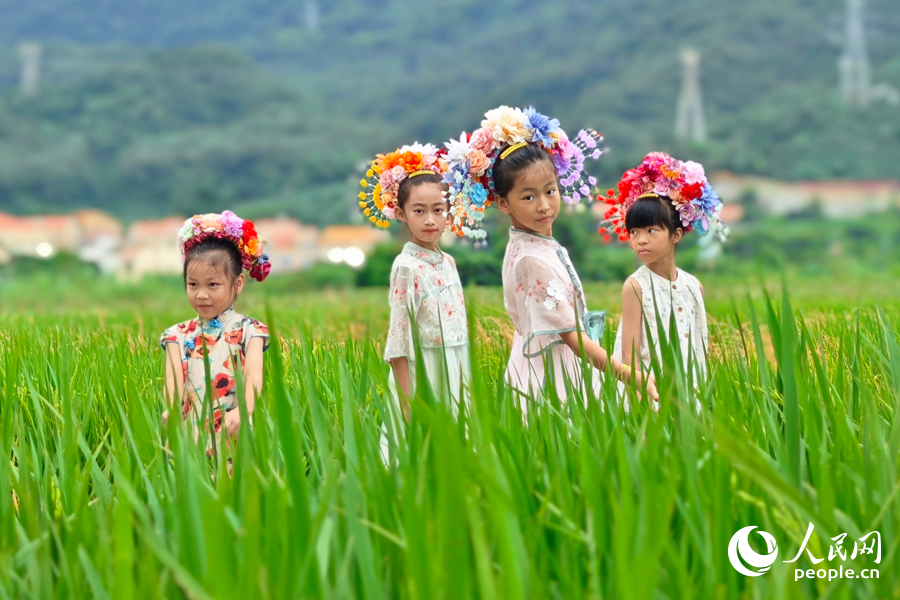 頭戴簪花的小女孩在稻田中流連。人民網(wǎng)記者 陳博攝