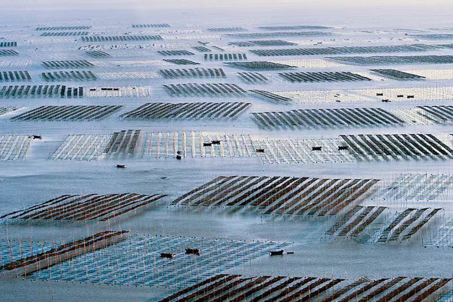 三沙鎮(zhèn)海上紫菜養(yǎng)殖航拍圖，三沙政府韓星供圖.jpg