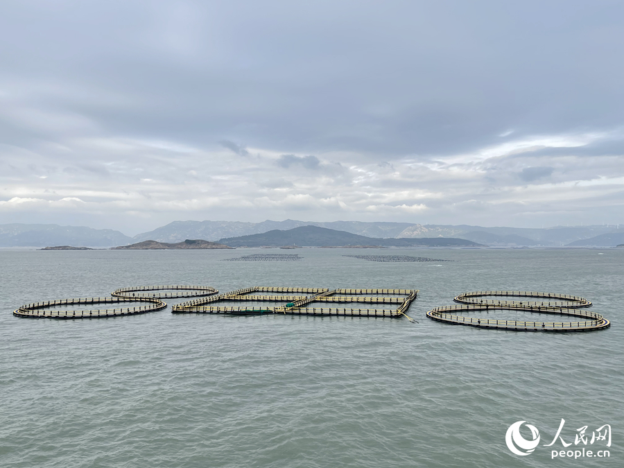 福建福州定海灣水域成片漁排。人民網(wǎng) 謝星宇攝