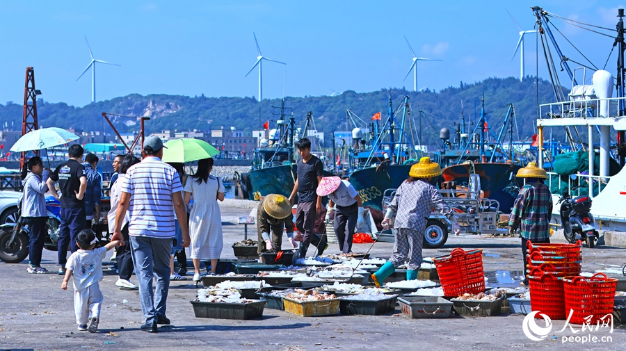 在東山縣澳角村，漁民在搬運(yùn)、分揀剛靠岸的海鮮。人民網(wǎng) 李昌乾攝
