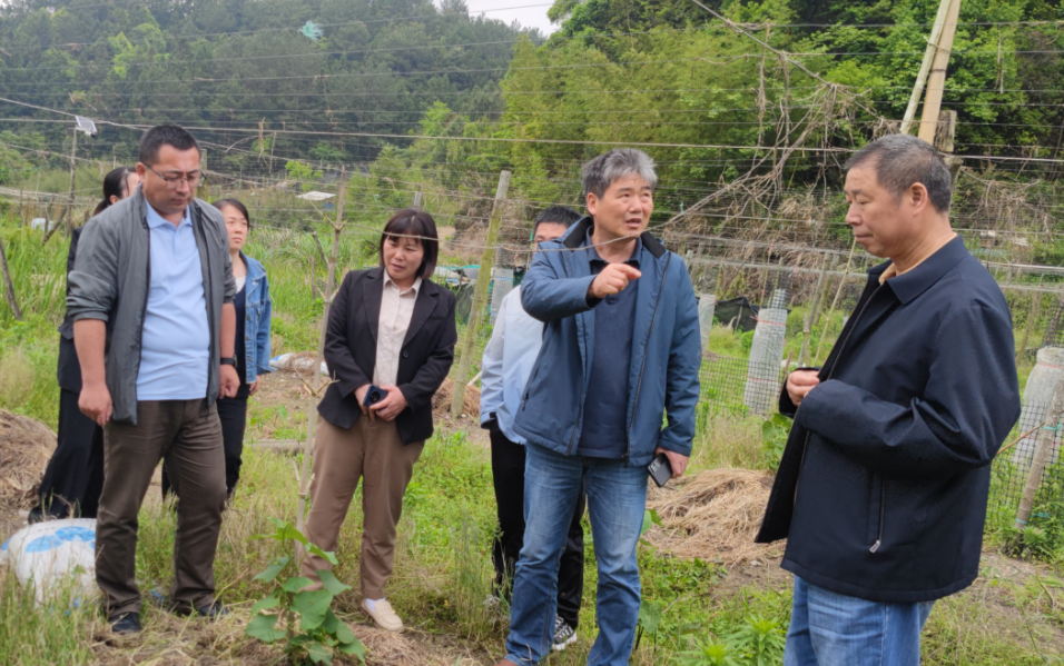 科技小站專家深入田間指導(dǎo)農(nóng)戶生產(chǎn)。泮洋鄉(xiāng)政府供圖