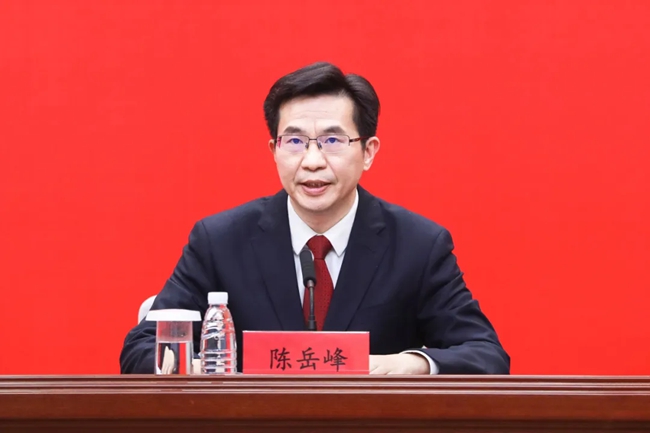 陳岳峰（資料圖）。人民網(wǎng) 陳永整攝