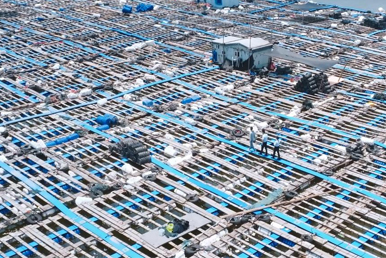 工商銀行福州分行《工行福州分行助力海洋經(jīng)濟發(fā)展 探索藍色未來新引擎》