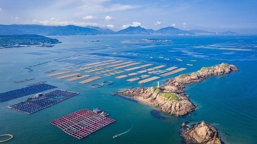 日興水產(chǎn)龍翁嶼養(yǎng)殖基地。日興水產(chǎn)供圖