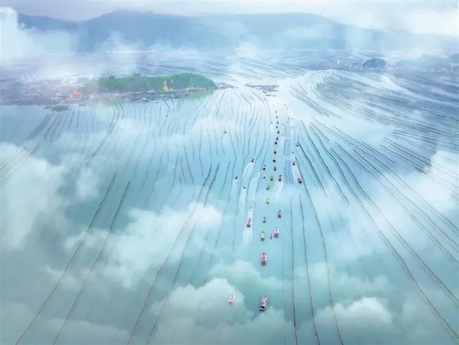 山海交響，多彩霞浦。謝玲雄攝