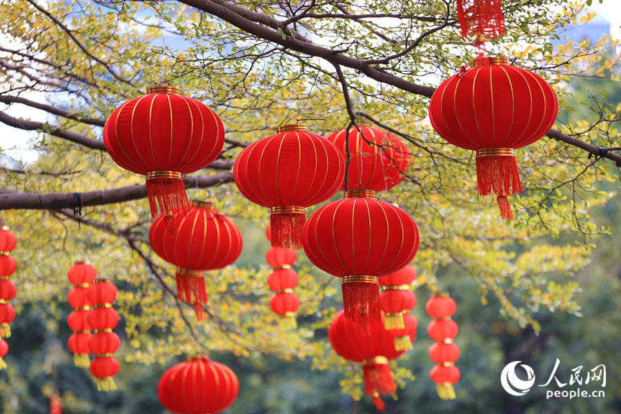 一個(gè)個(gè)燈籠隨風(fēng)搖曳生姿。人民網(wǎng)記者 陳博攝