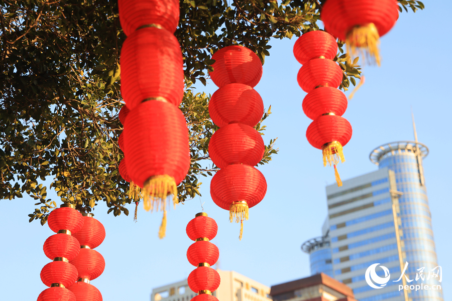 陽(yáng)光下的燈籠紅彤彤。人民網(wǎng)記者 陳博攝