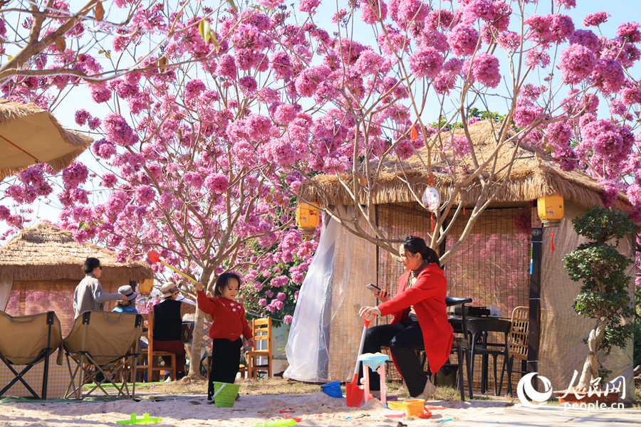 繁花滿樹下，盡是孩童的歡聲笑語。人民網(wǎng)記者 陳博攝