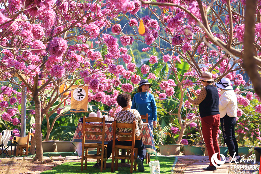 市民在花海中圍爐煮茶，享受午后時光。人民網(wǎng)記者 陳博攝