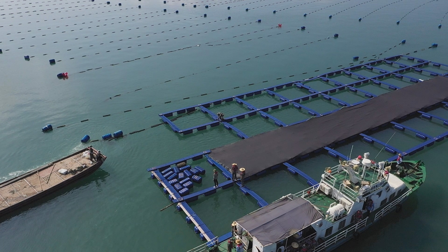 清退超規(guī)劃網(wǎng)箱養(yǎng)殖
