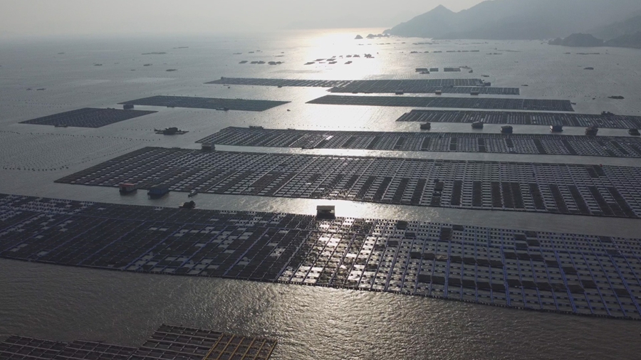 網(wǎng)箱養(yǎng)殖海域