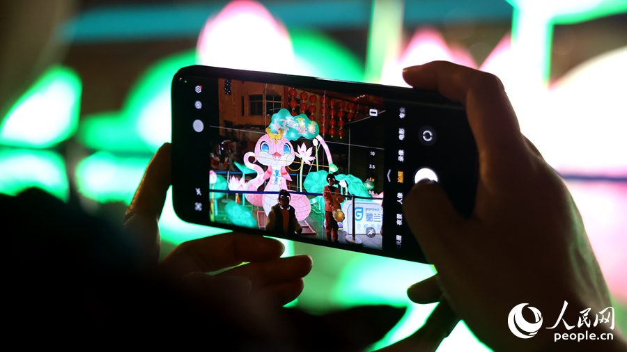 蛇年生肖造型花燈“人氣旺”。人民網(wǎng)記者 陳博攝