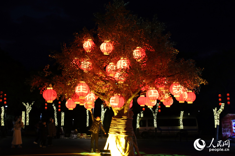 “祈福樹”上掛滿不同姓氏的燈籠。人民網(wǎng)記者 劉卿攝