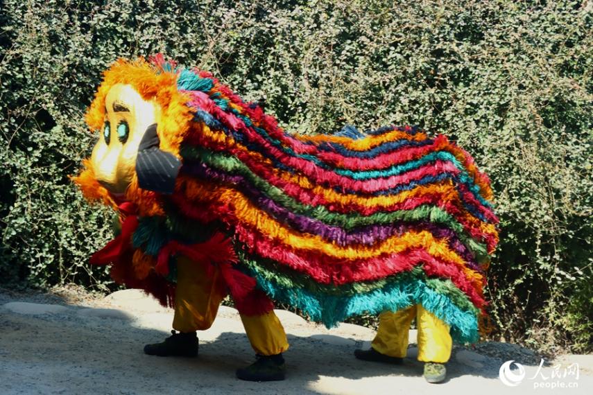肥獅的毛取自樹皮，染以各色顏料，顏色較為鮮艷奪目。人民網(wǎng)記者 陳藍(lán)燕攝