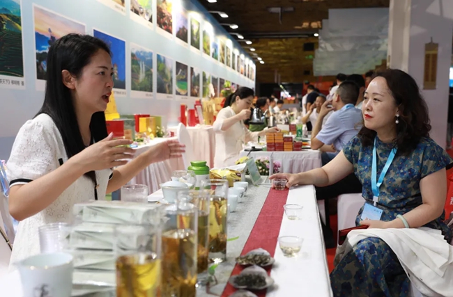 北京鳥巢·福建周寧高山云霧茶推介會(huì)。鄭文敏攝