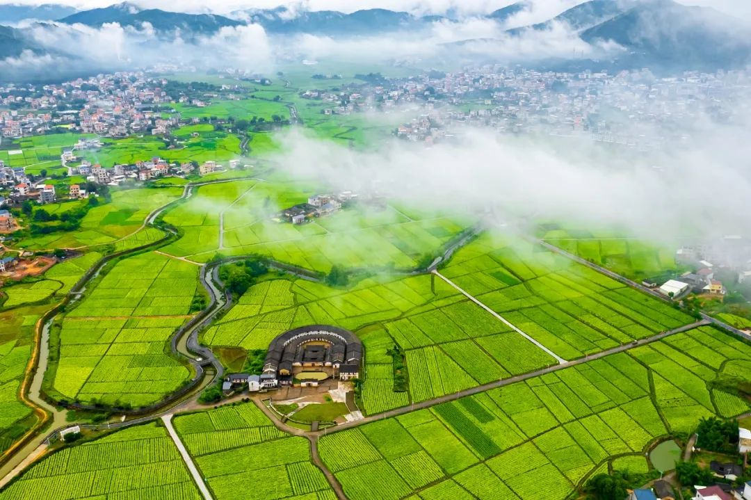 推動(dòng)鄉(xiāng)村振興與美麗田園建設(shè)，圖為上杭縣廬豐畬族鄉(xiāng)萬(wàn)畝煙田一隅