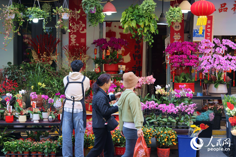 絢麗多彩的鮮花吸引著過往行人的目光。人民網(wǎng)記者 陳博攝