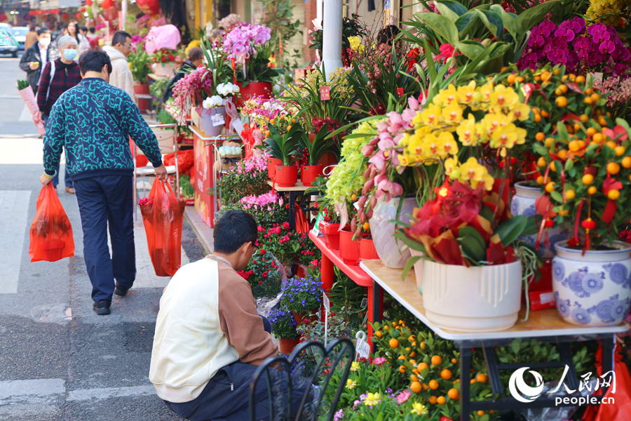 種類齊全的鮮花在街道兩側(cè)爭(zhēng)奇斗艷，生機(jī)盎然。人民網(wǎng)記者 陳博攝