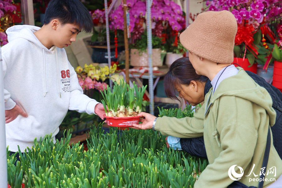 在閩南地區(qū)，過年選購(gòu)水仙花必不可少。人民網(wǎng)記者 陳博攝