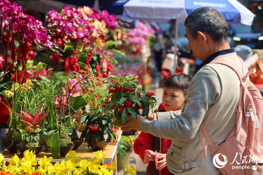 手中攥著零花錢的小男孩，在街邊精心挑選新年盆景。人民網(wǎng)記者 陳博攝