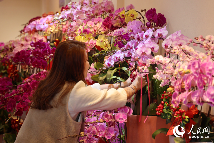 商家細(xì)心地為蝴蝶蘭系上彩帶。人民網(wǎng)記者 陳博攝