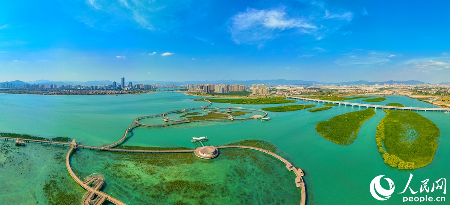 同安灣下潭尾紅樹林公園，是最大的人工重構(gòu)紅樹林主題生態(tài)公園和海洋科普宣傳基地。人民網(wǎng)記者 陳博攝