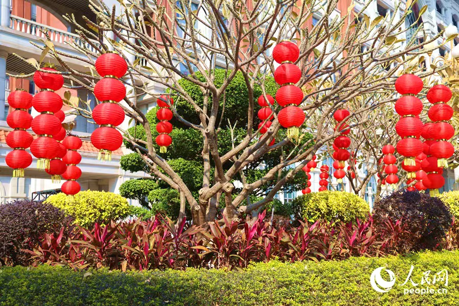 集美新城市民廣場上，成串紅燈籠隨風(fēng)搖動(dòng)，新年氛圍拉滿。人民網(wǎng)記者 陳博攝