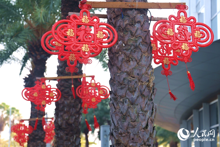 杏林灣路幸福中國結(jié)。人民網(wǎng)記者 陳博攝