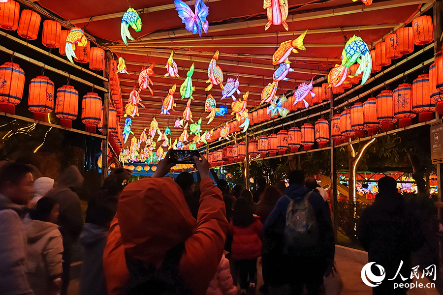 主題場景之間的花燈走廊吸引游客拍照。人民網(wǎng)記者 林盈攝