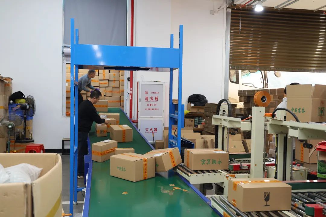 裝箱好的茶葉隨傳送帶送至貨車