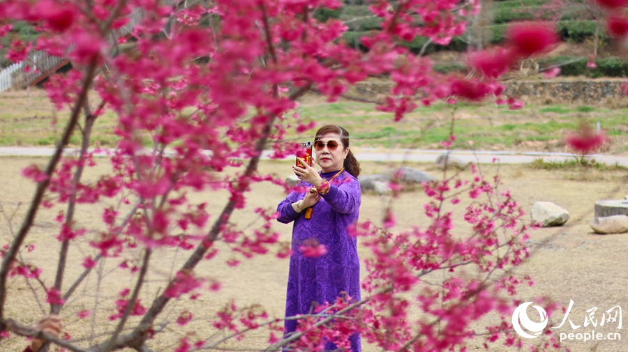 一位游客正用手機記錄下美麗瞬間。人民網 李昌乾攝