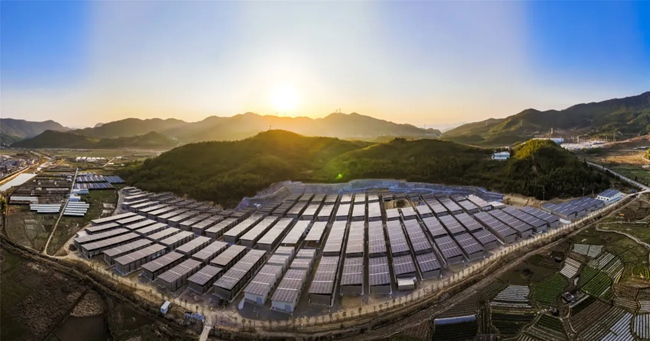 光伏菇棚。黃谷上攝