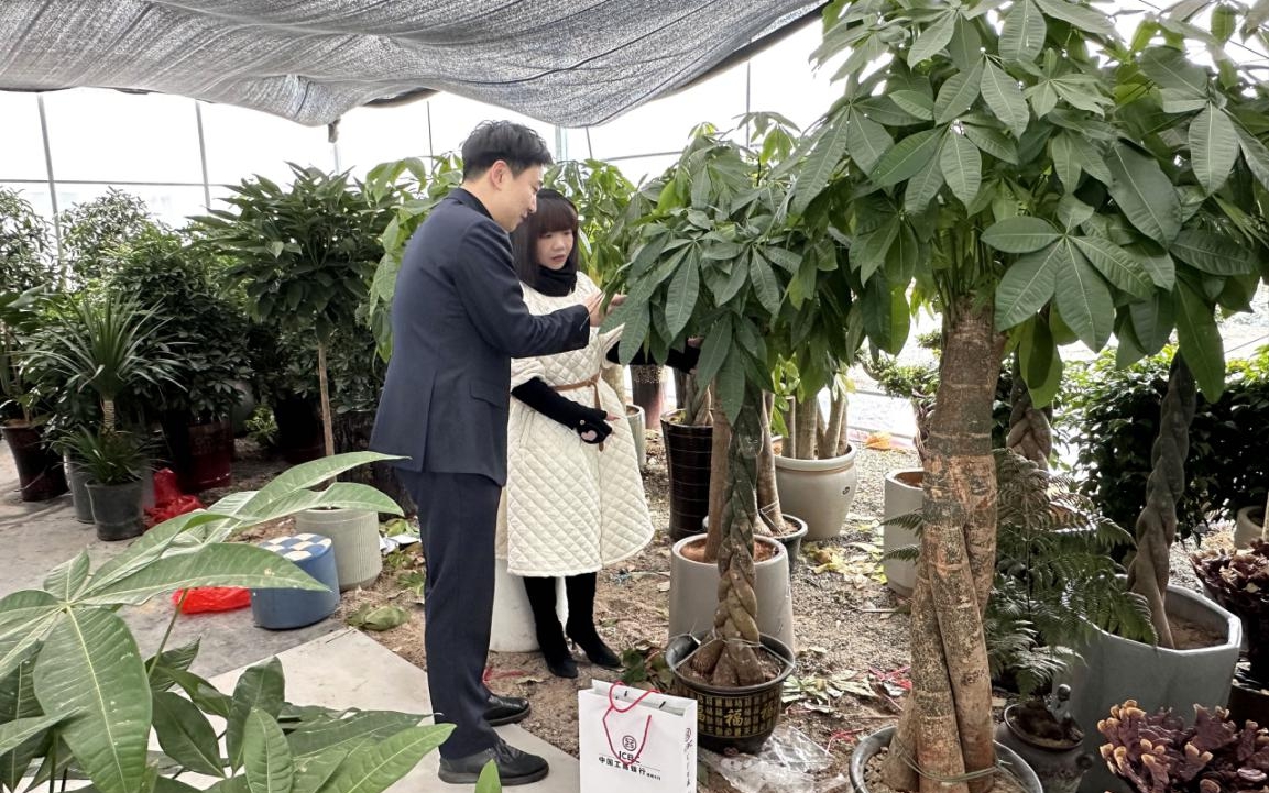 工商銀行南平分行：“金特派”譜寫“惠”民新畫卷