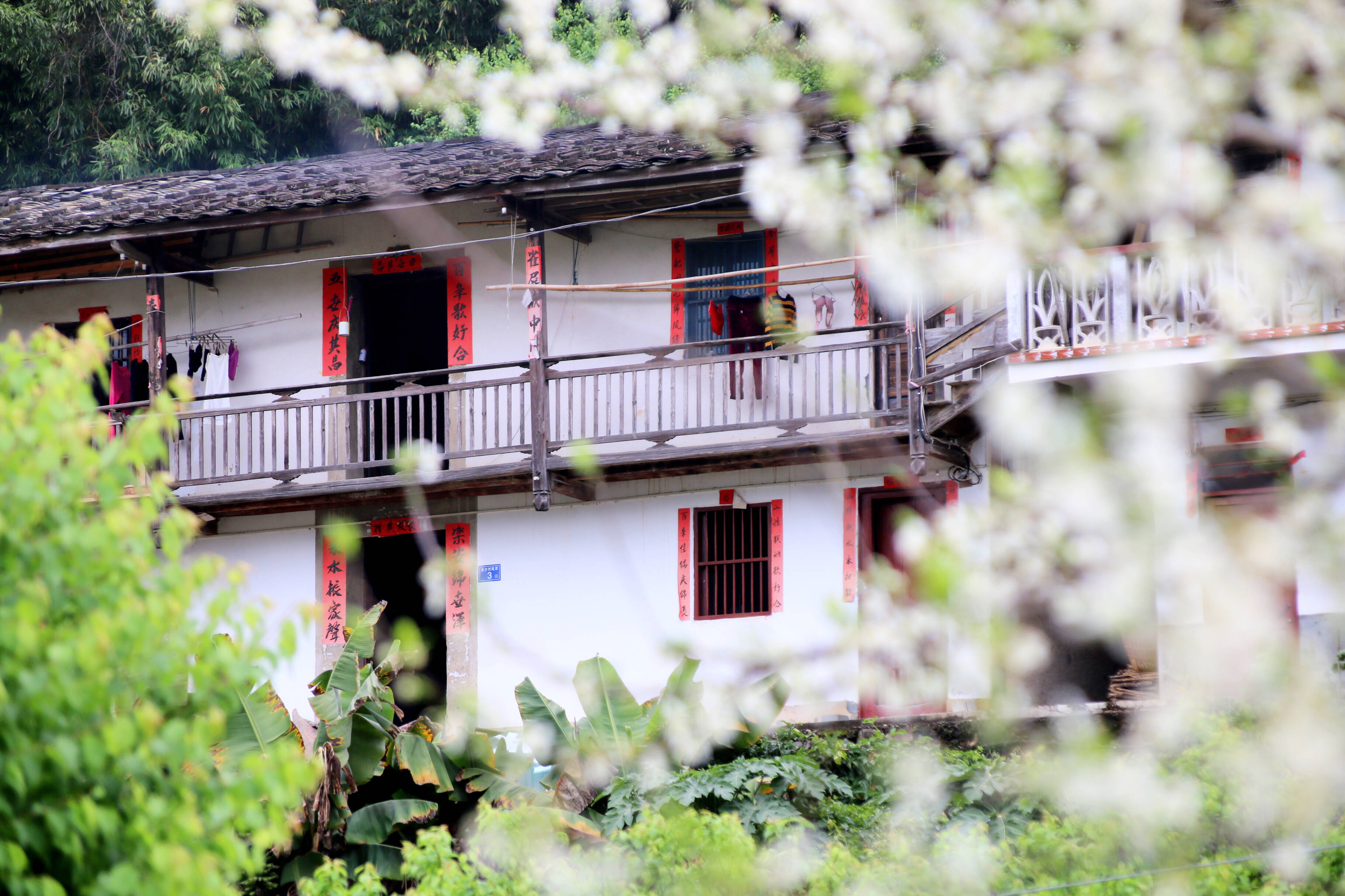 古樸的民居被繁花環(huán)繞。永泰縣融媒體中心供圖