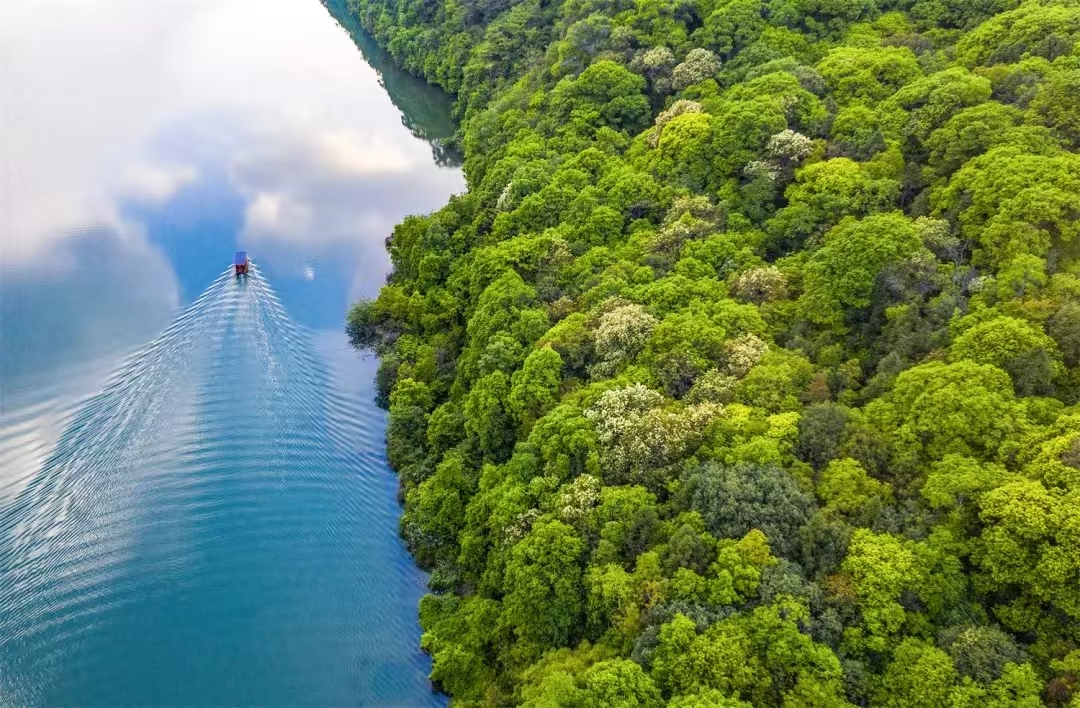 福建省南平市建陽區(qū)仙牛灣生態(tài)公益林。黃海攝