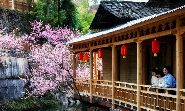 純池鎮(zhèn)桃坑村。魏孫亮攝