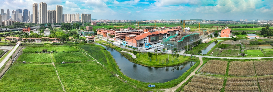 晉江九十九溪流域田園風(fēng)光。劉翼攝